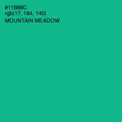 #11B88C - Mountain Meadow Color Image